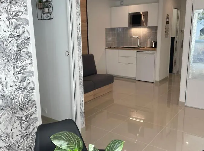 Appartement Grand En Centre Et à 50 Mètres Du Port, Climatisé *