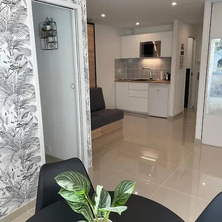 Apartment Grand En Centre Et A 50 Metres Du Port, Climatise *
