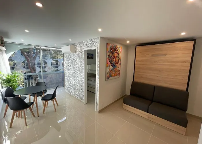 Apartamento Grand En Centre Et à 50 Mètres Du Port, Climatisé *