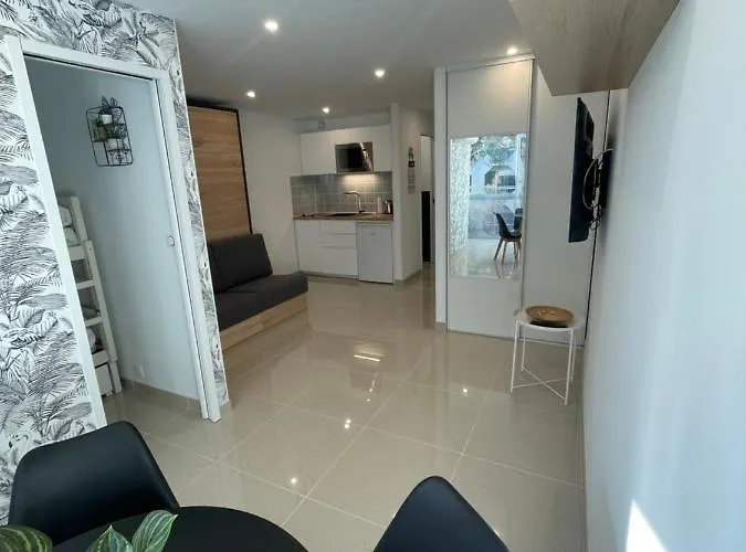 Apartamento Grand En Centre Et à 50 Mètres Du Port, Climatisé *